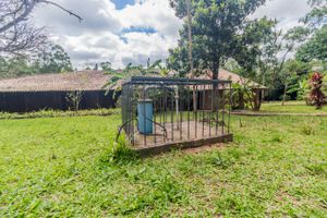 Image 9 - 258911