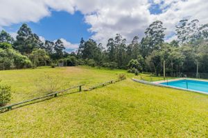 Image 25 - 258911