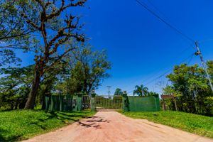 Image 83 - 259471