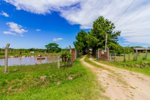 Image 81 - 259471