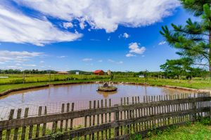 Image 3 - 259471