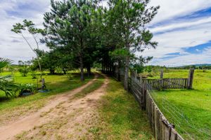 Image 10 - 259471