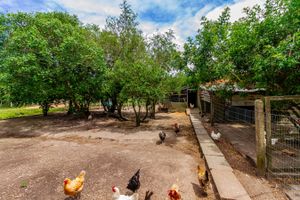Image 62 - 259471
