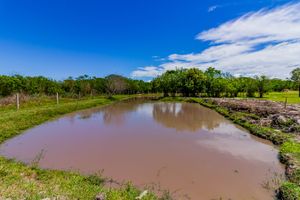 Image 5 - 259471