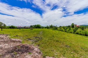Image 69 - 259471