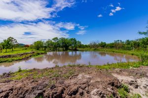 Image 72 - 259471