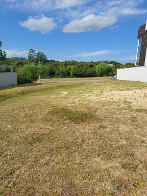 Image 1 - 259493