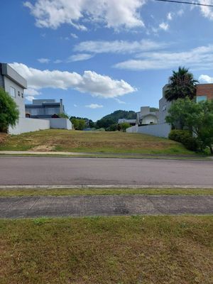 Image 6 - 259493