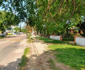 Image 7 - 260293