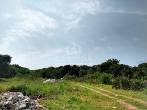 Image 13 - 260293