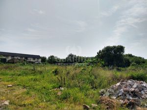 Image 14 - 260293