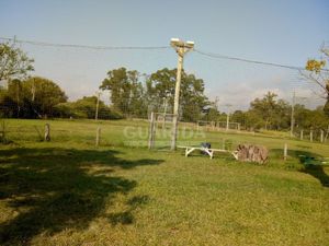 Image 13 - 260386