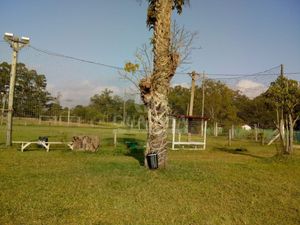 Image 14 - 260386