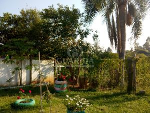 Image 20 - 260386