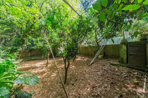 Image 62 - 260390
