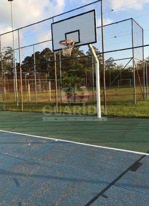 Image 16 - 260450