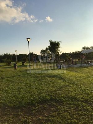 Image 19 - 260450
