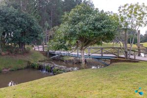 Image 251 - 260545