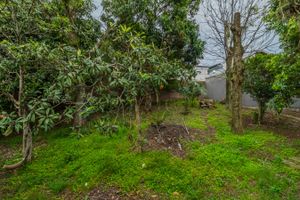 Image 31 - 260718