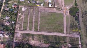 Image 6 - 261254