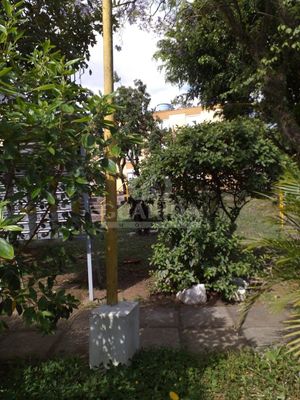 Image 27 - 261513
