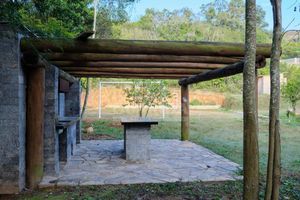 Image 9 - 261539