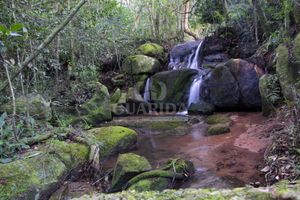 Image 18 - 261539