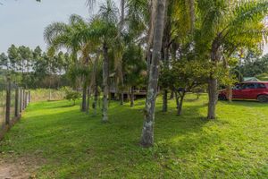 Image 49 - 262527