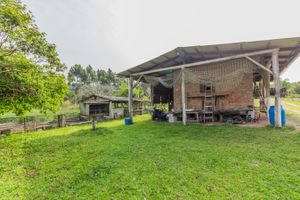Image 61 - 262527