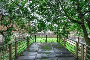Image 35 - 262677