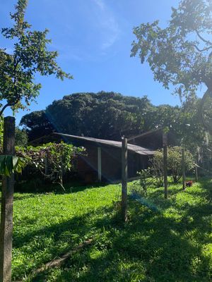 Image 17 - 262720