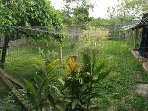 Image 31 - 262720