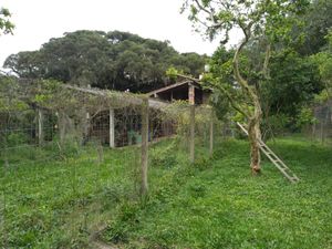 Image 23 - 262720