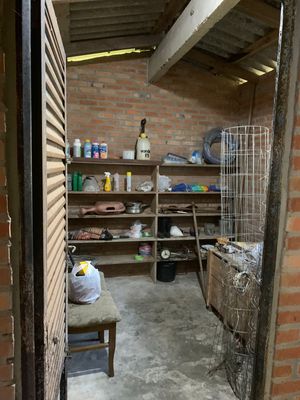 Image 10 - 262720