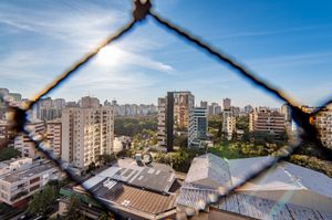 Image 21 - 263332