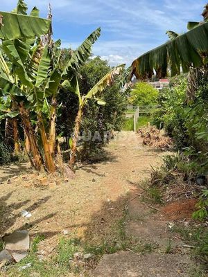 Image 30 - 263377