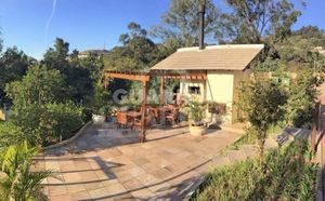 Image 32 - 263399