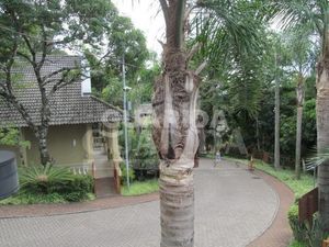 Image 41 - 263399