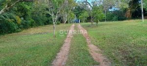Image 8 - 263523