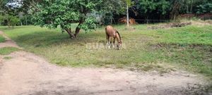 Image 13 - 263523