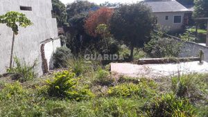 Image 4 - 263791