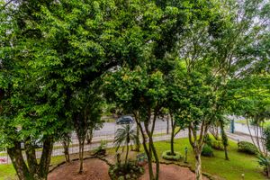 Image 4 - 264548