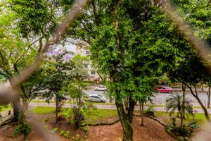 Image 11 - 264548