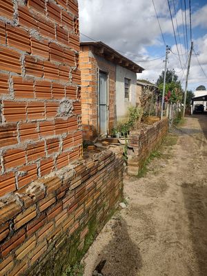 Image 8 - 264551