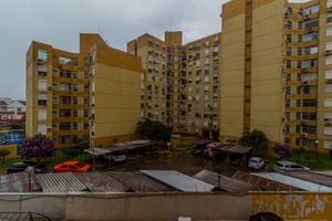 Image 9 - 264717