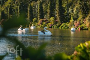 Image 54 - 264969