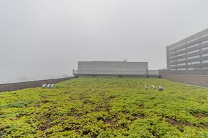 Image 7 - 265185