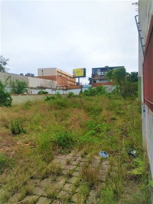 Image 5 - 265186