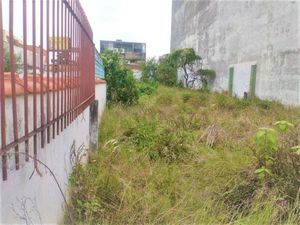 Image 6 - 265186