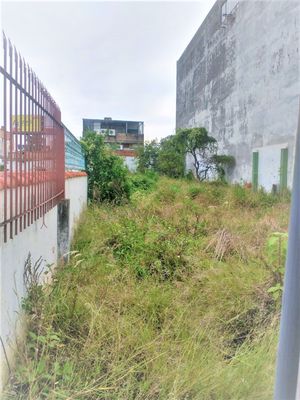 Image 12 - 265186